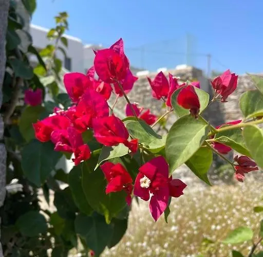 Dream 2, ολόκληρος χώρος με πισίνα * Parikia (Paros)