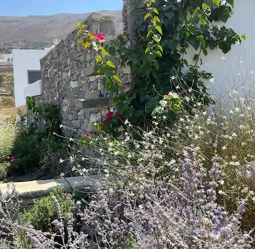 Villa Dream 2, ολόκληρος χώρος με πισίνα Parikia (Paros)