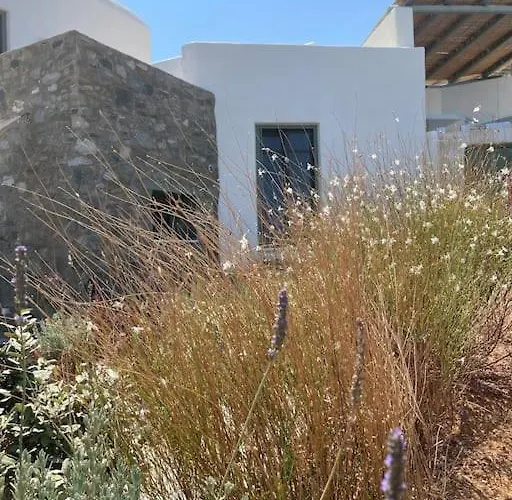 Dream 2, ολόκληρος χώρος με πισίνα Parikia (Paros)