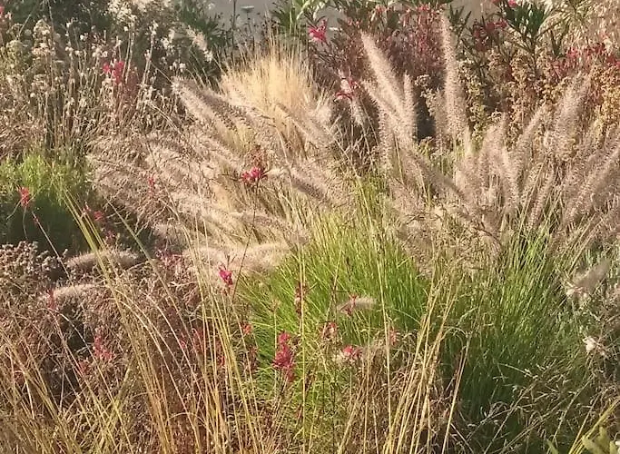 Dream 2, ολόκληρος χώρος με πισίνα *