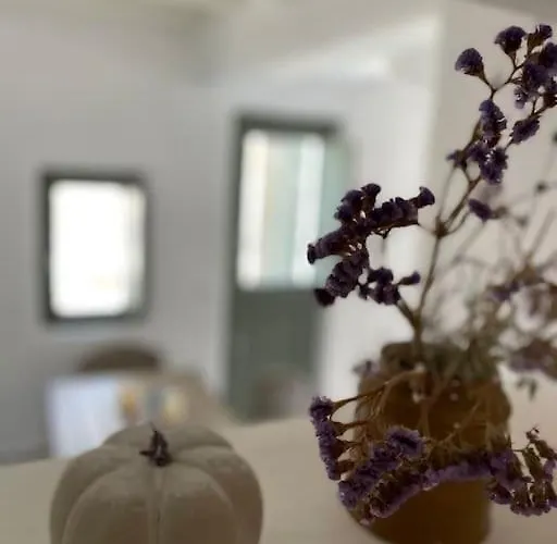 Villa Dream 2, ολόκληρος χώρος με πισίνα Parikia (Paros)