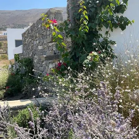Вилла Dream 2, ολόκληρος χώρος με πισίνα Парос