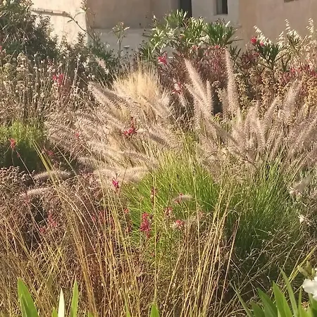 Dream 2, ολόκληρος χώρος με πισίνα *