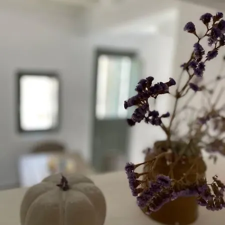 Villa Dream 2, ολόκληρος χώρος με πισίνα Parikia (Paros)