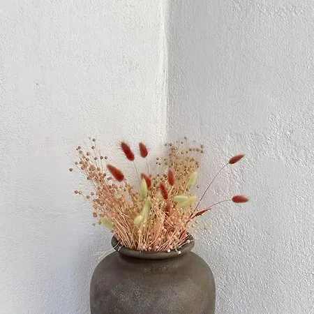 Villa Dream 2, ολόκληρος χώρος με πισίνα *