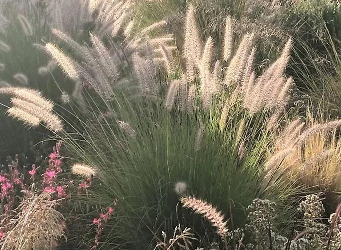 Dream 2, ολόκληρος χώρος με πισίνα *